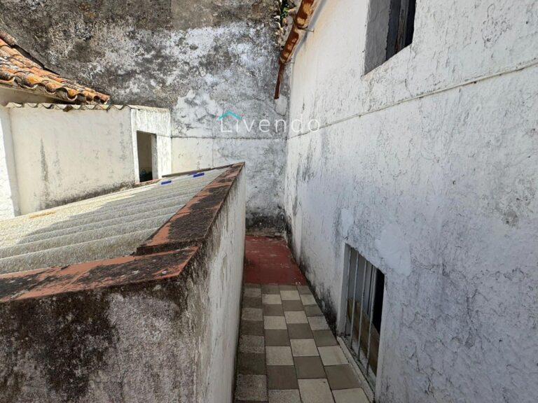 20855832.jpg