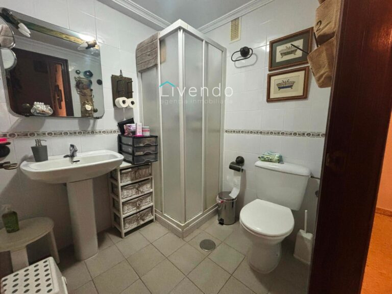 22813503.jpg