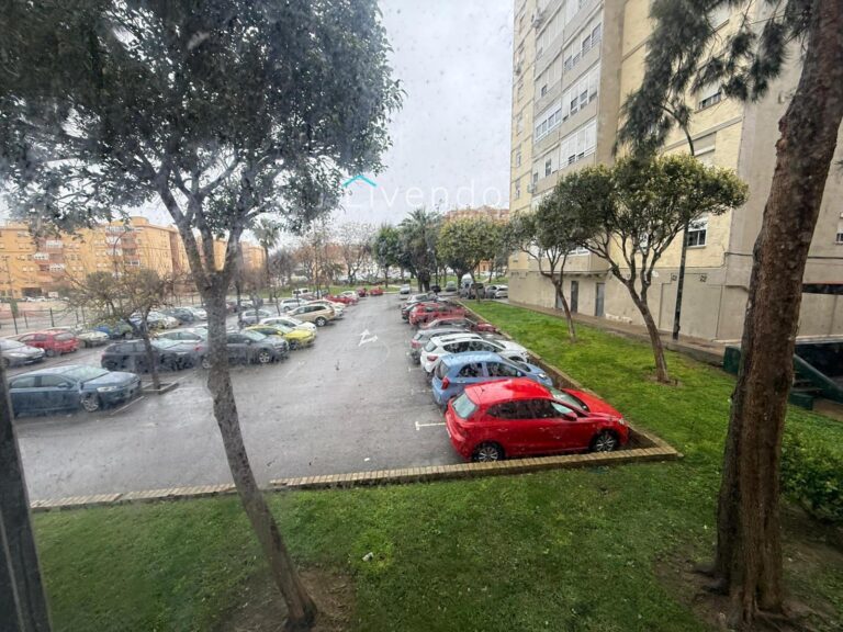 24032168-1.jpg
