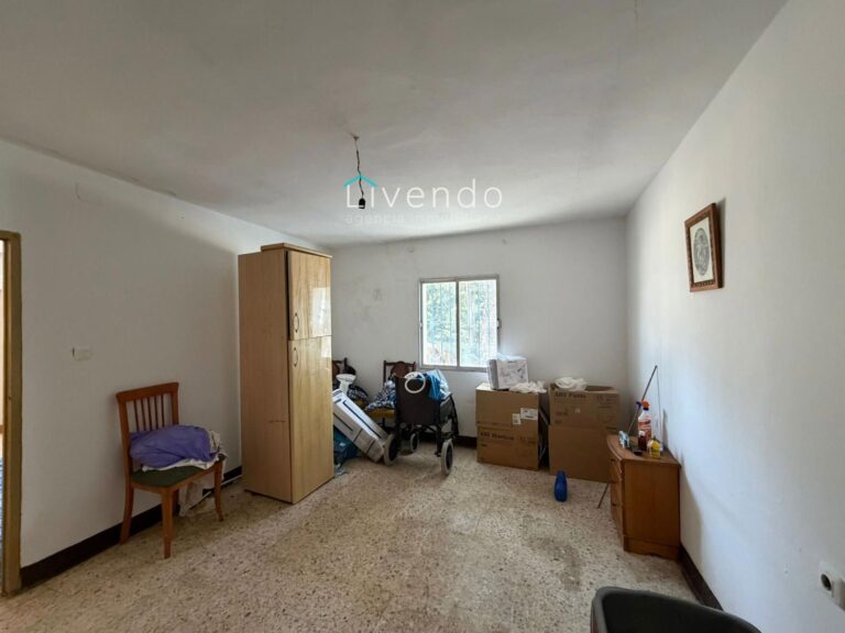 25961248.jpg