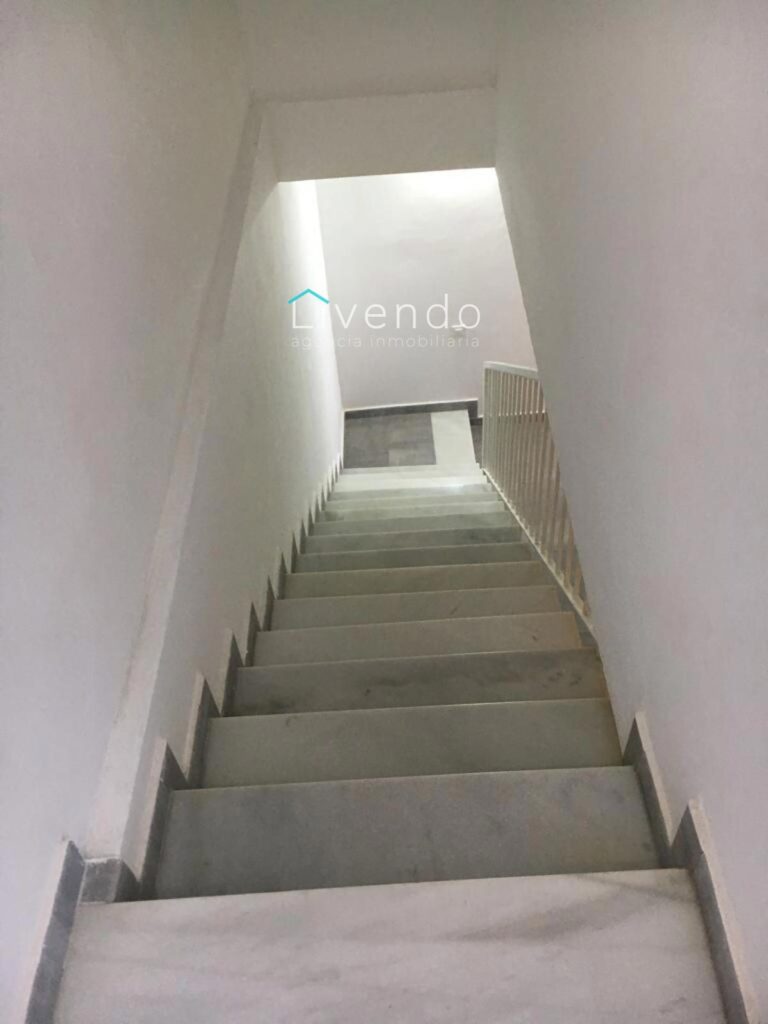 25962645.jpg