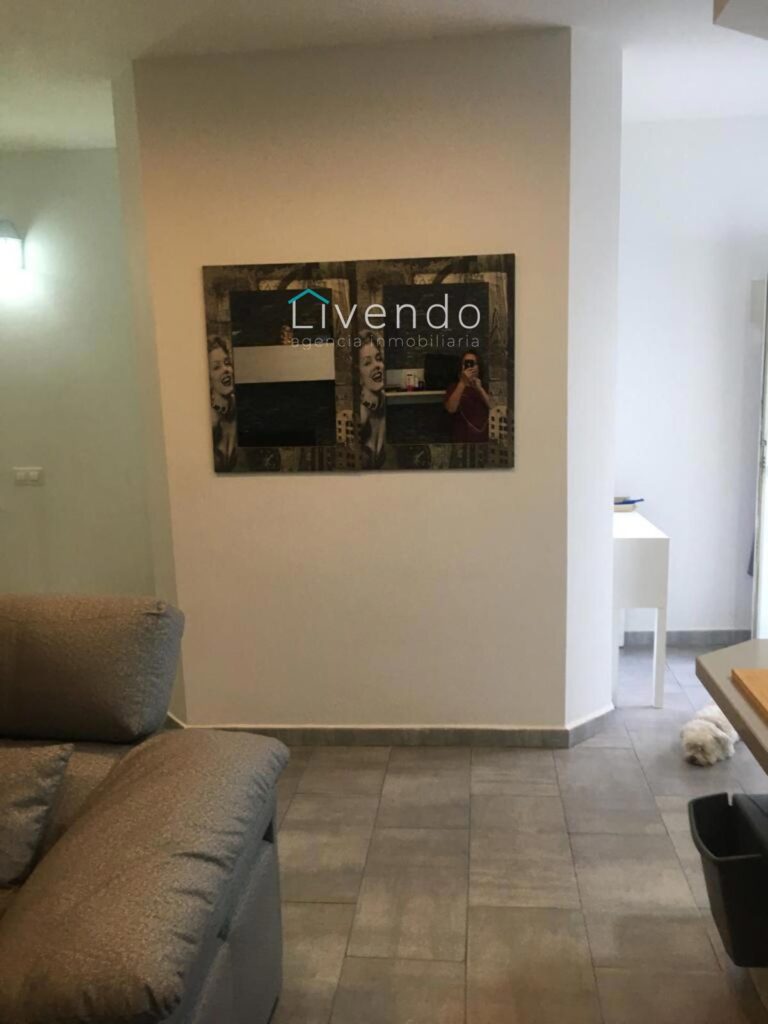 25962653.jpg