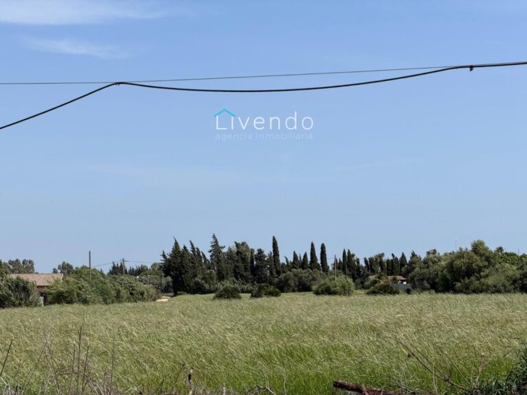 25961263-1.jpg