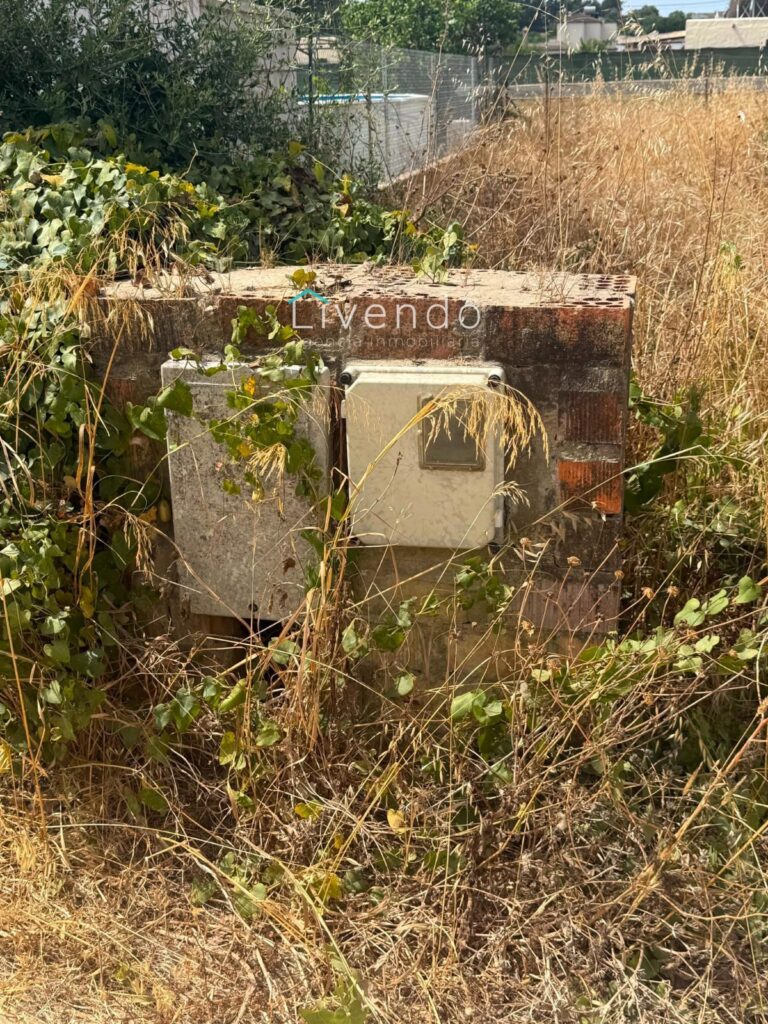 27599160-2.jpg