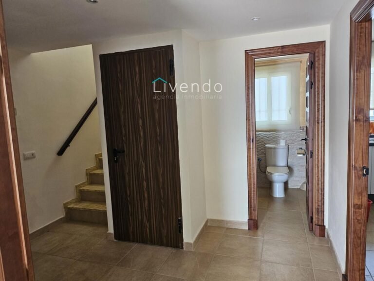 23443783.jpg