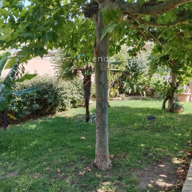 21233836.jpg