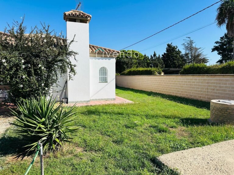28747267.jpg